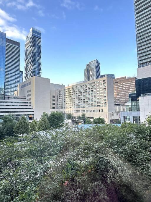 Best Location In Downtown- Walking To Eaton Centre, Nathan Phillips Square, Yonge-Dundas, Ikea,Transit Toronto Eksteriør billede